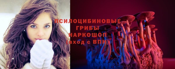 тгк Белокуриха