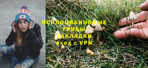 тгк Белокуриха