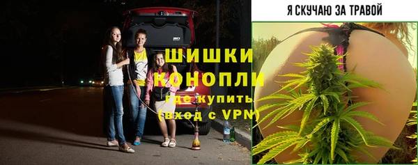 apvp Арсеньев